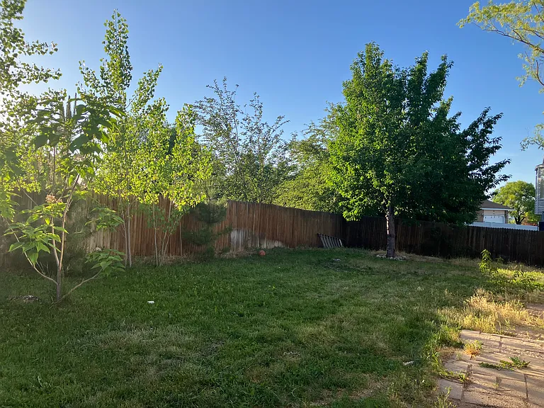 Fully fenced backyard, lots of shade