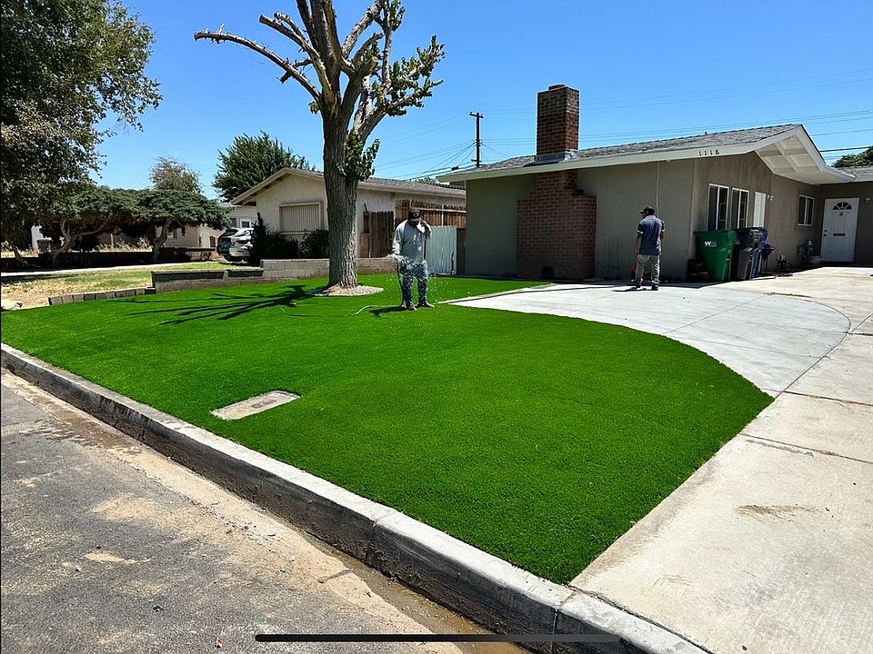 Front yard