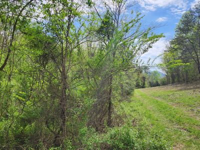 LOT 36 English Fields Dr, Newport, TN, 37821