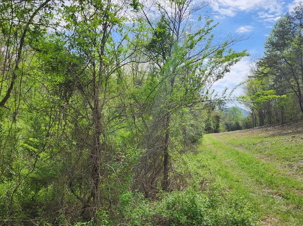 LOT 36 English Fields Dr, Newport, TN 37821