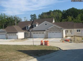 10956 Stream View Dr, Painesville, OH 44077