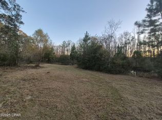 0 Wendy Lewis Rd, Bonifay, FL 32425