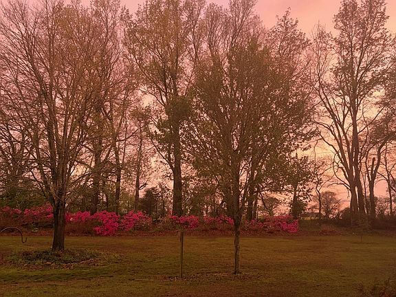 3rd image of 1452 Solo Rd