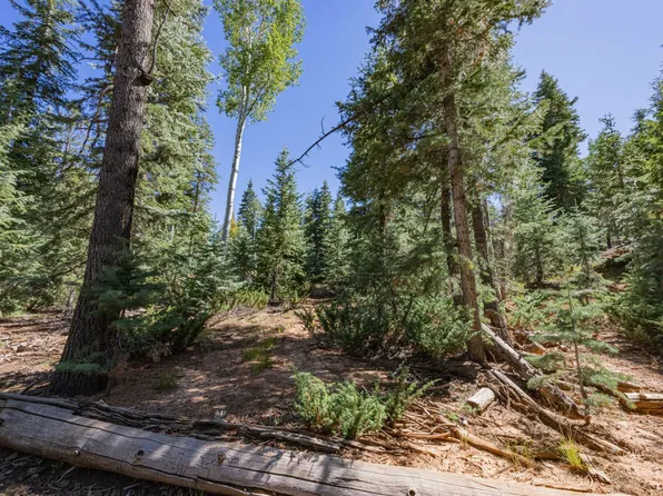 1075 E Winchester Rd, Alton, UT 84710