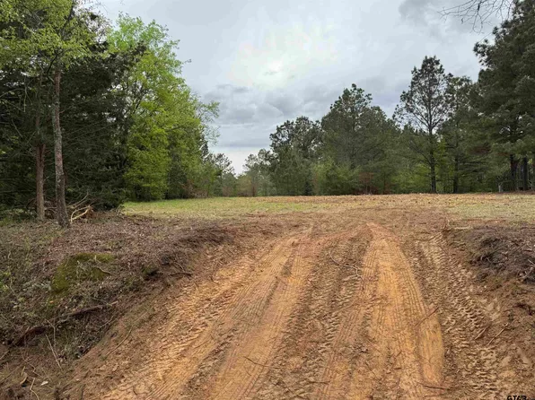 County Road 2147, Troup, TX 75789