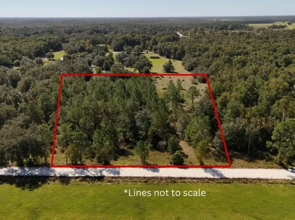  NE 811th St, Old Town, FL 32680