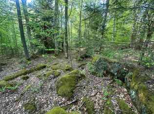4 Tuscan Ridge Rd, Davis, WV 26260
