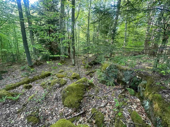 4 Tuscan Ridge Rd, Davis, WV 26260