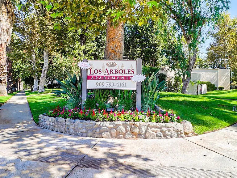 Los Arboles — Photo 3