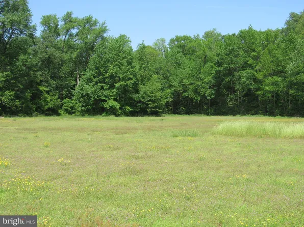 Gum Branch Rd, Seaford, DE 19973