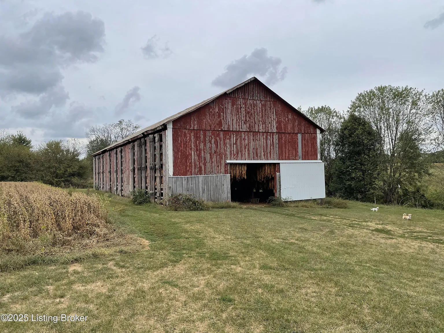 3150 Cropper Rd photo 1