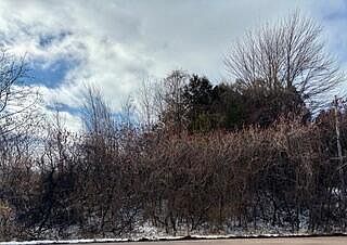 2nd image of 0 State Route 37