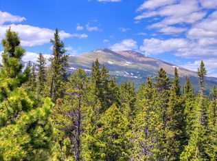 2221 Kootchie Kootchie Rd, Alma, CO 80420
