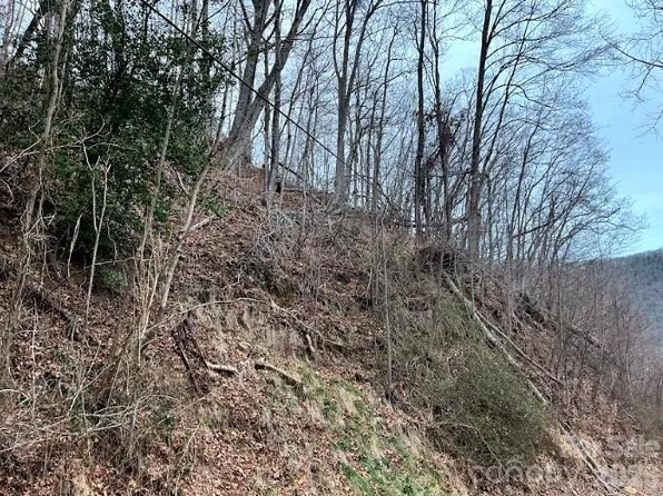 65 Weeping Cherry Forest Rd, Fairview, NC 28730