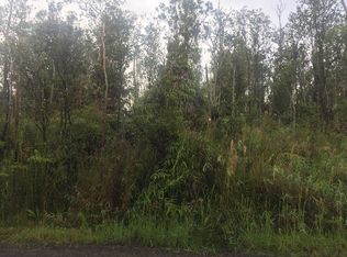 11 2317th #14, Volcano, HI 96785