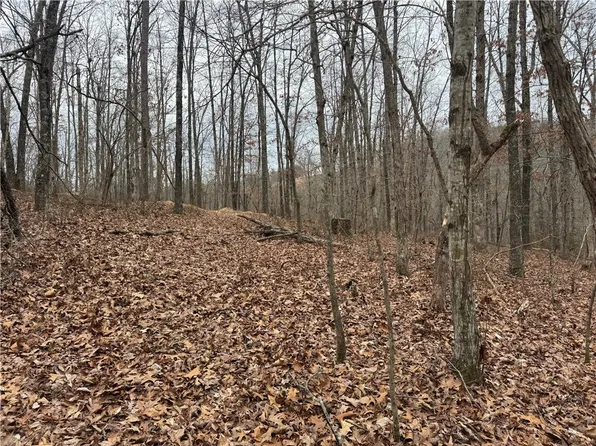 25401 State Highway 123, Hasty, AR 72640