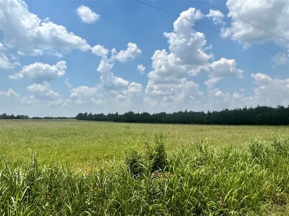 3442 County Road 15100, Blossom, TX 75416