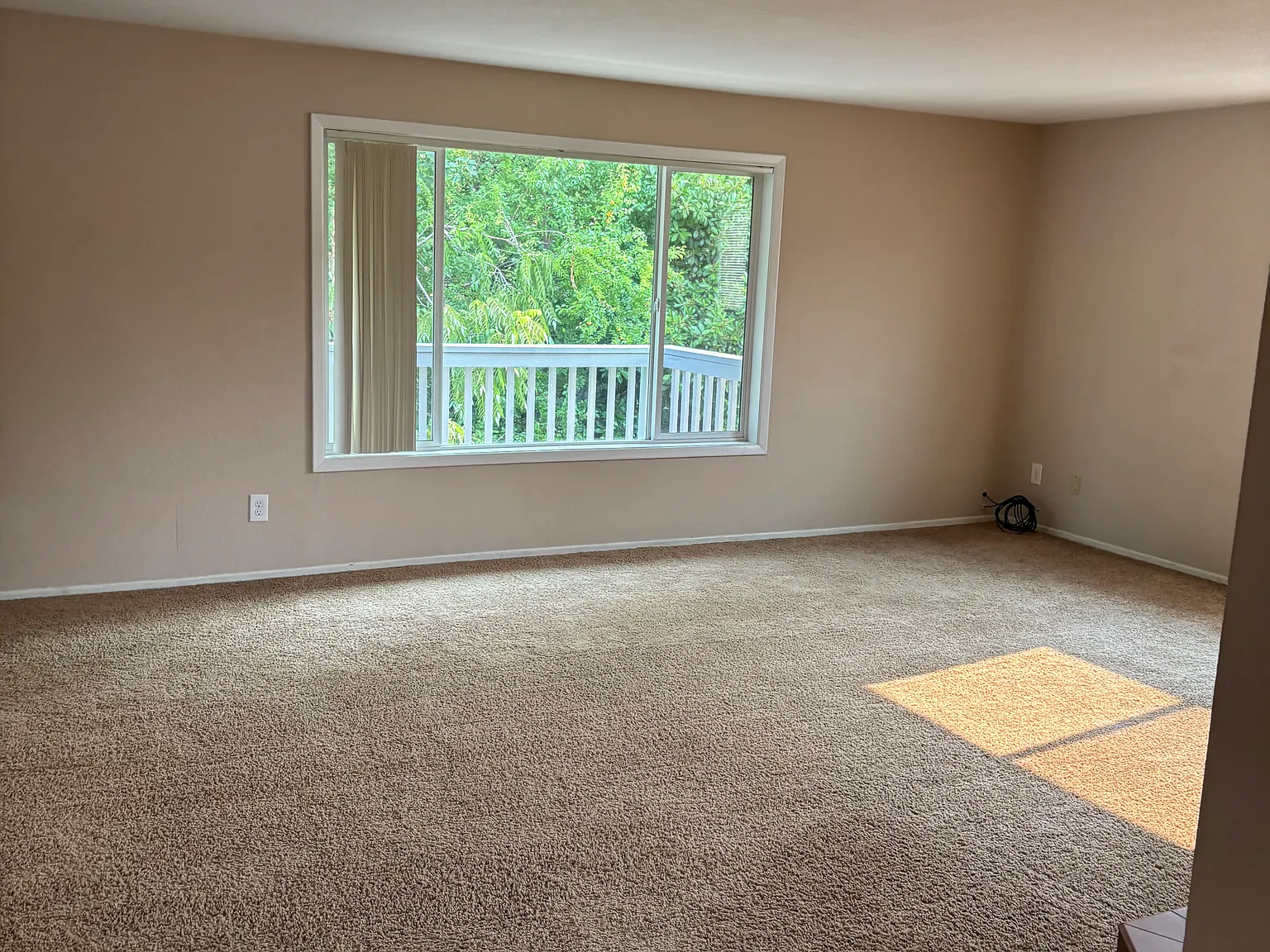 2 bed, 1100 sqft, $1,600 — Photo 4