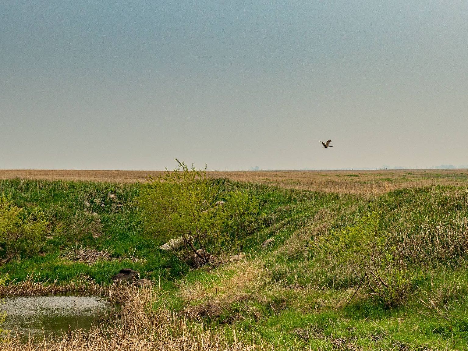 210th St, Wessington, SD 57381 MLS 11157203 Zillow