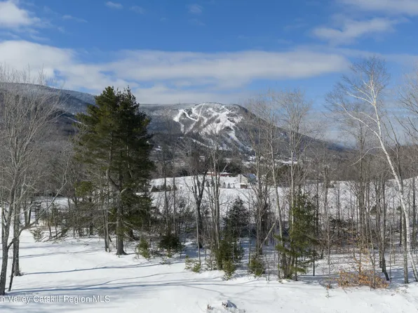 Lot 4 Ruth Court, Hunter, NY 12442