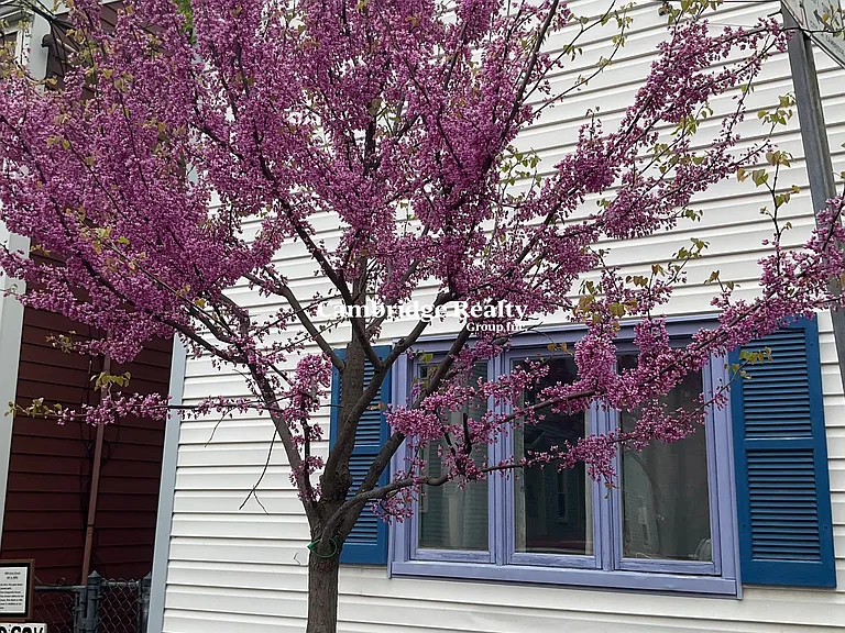 67 Gore St #2T — Photo 15