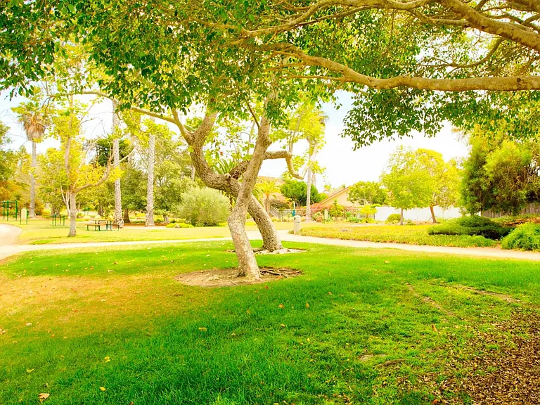 630 Poinsettia Park N — Photo 40