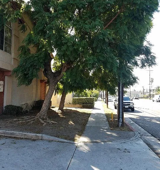 sidewalk in front of apartments