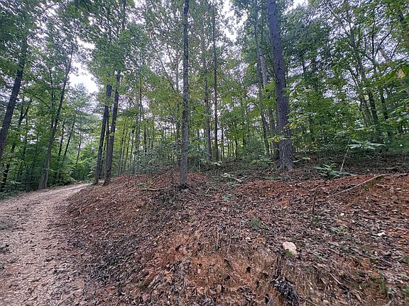4th image of 9 Fincastle Rd Lot 9