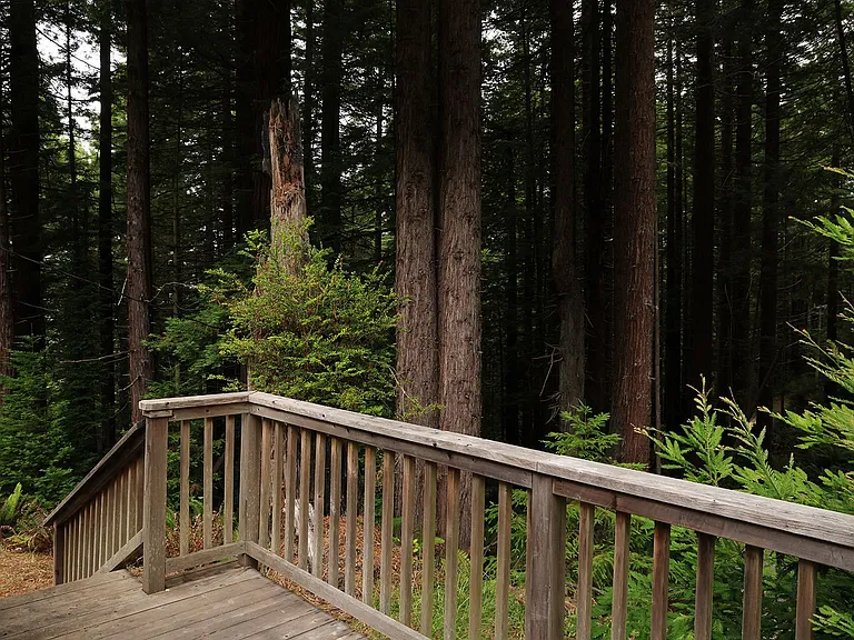 4452 Greenwood Heights Dr — Photo 20