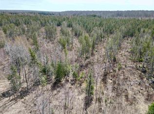 Off Cr Trl #557, Arnold, MI 49819