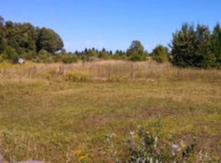 1715 Ellinger Rd, Alanson, MI 49706