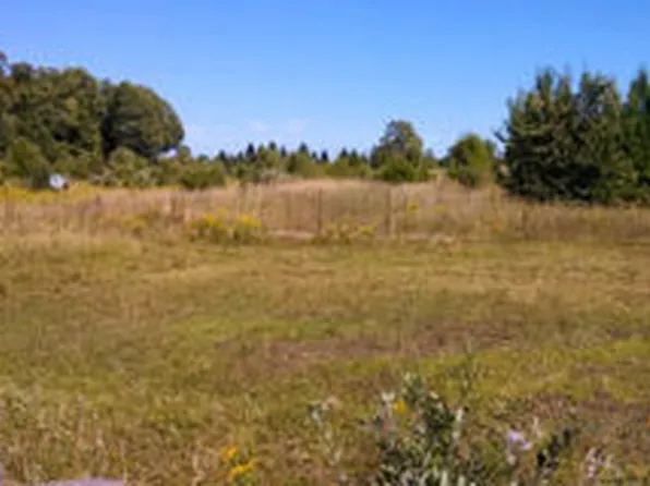 1715 Ellinger Rd, Alanson, MI 49706