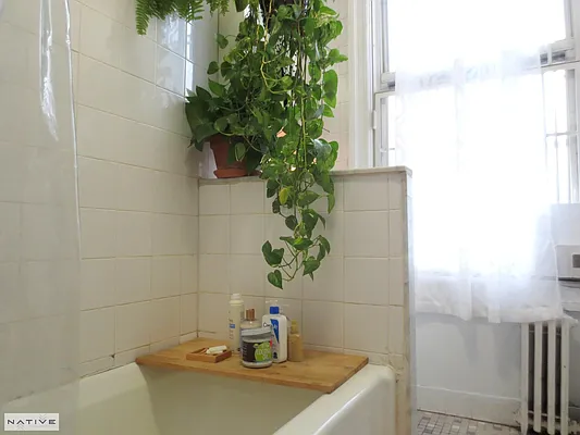 Rented by Native Real Estate LLC | media 15