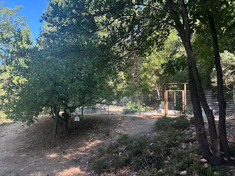 17347 Sunrise Rd — Photo 20