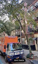 Rented by Oxford Property Group