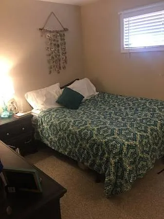 lower level bedroom