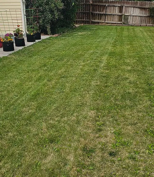 3153 E Merganser Ln — Photo 20