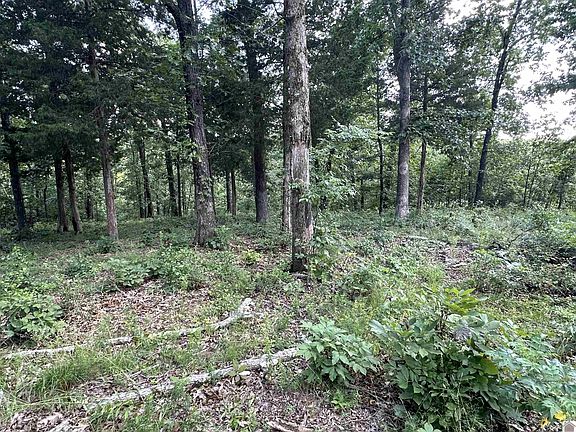 5th image of 176 Siloam Ln