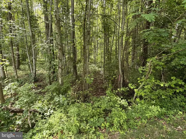 Overton Dr Lot 14, Bumpass, VA 23024