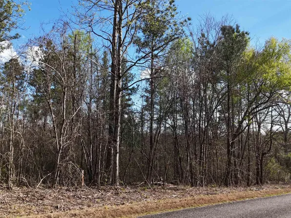 6 County Road 14, Muscadine, AL 36269