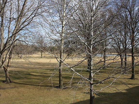 The views are wonderful with the golf course behind, and Bufallo Park beside!