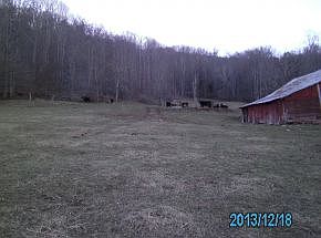 1st image of Cove Creek Road