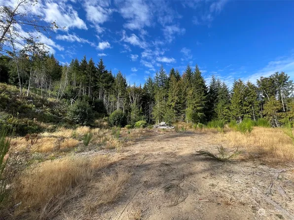 2899 2 Dan Kelly Road, Port Angeles, WA 98362