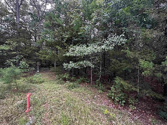 5th image of LOT 43 Cobalt Bay Dr