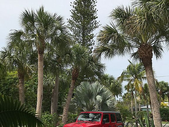 3rd image of 3861 Coquina Dr