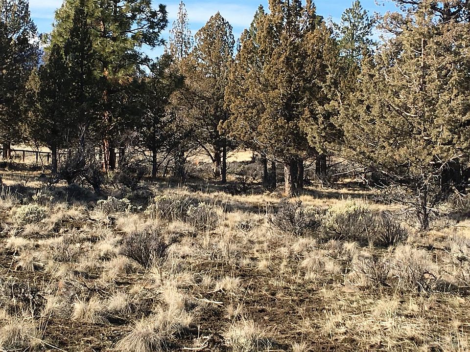2nd image of 17680 Mountain View Rd