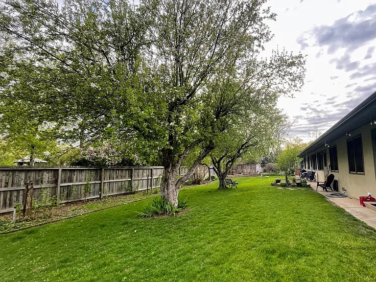 Maintained yard/common area