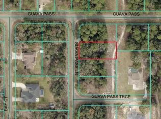 Guava Pass Ln LOT 31, Ocklawaha, FL 32179