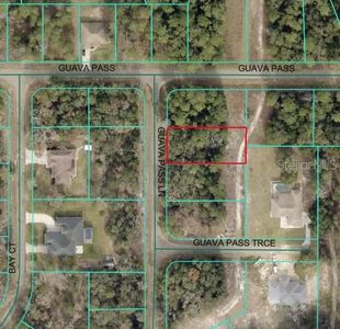 GUAVA PASS LANE LOT 31, Ocklawaha, FL, 32179