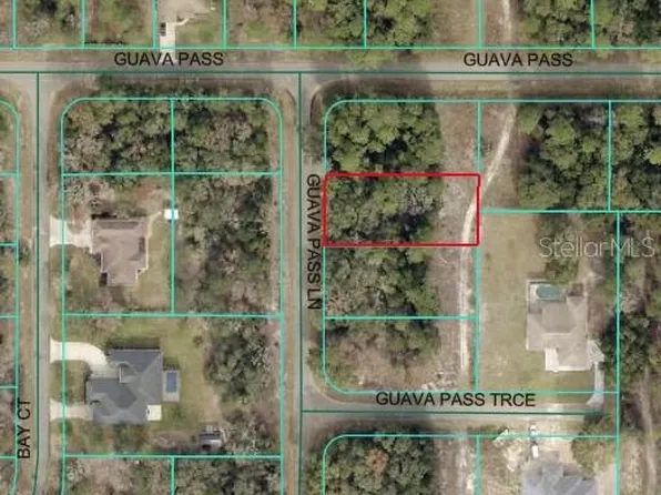 Guava Pass Ln Lot 31, Ocklawaha, FL 32179